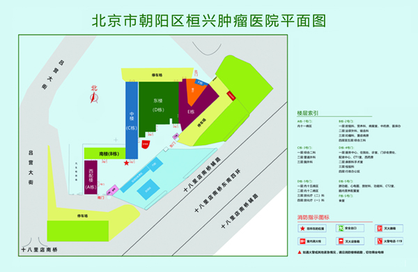 男生叉入女生逼视频北京市朝阳区桓兴肿瘤医院平面图